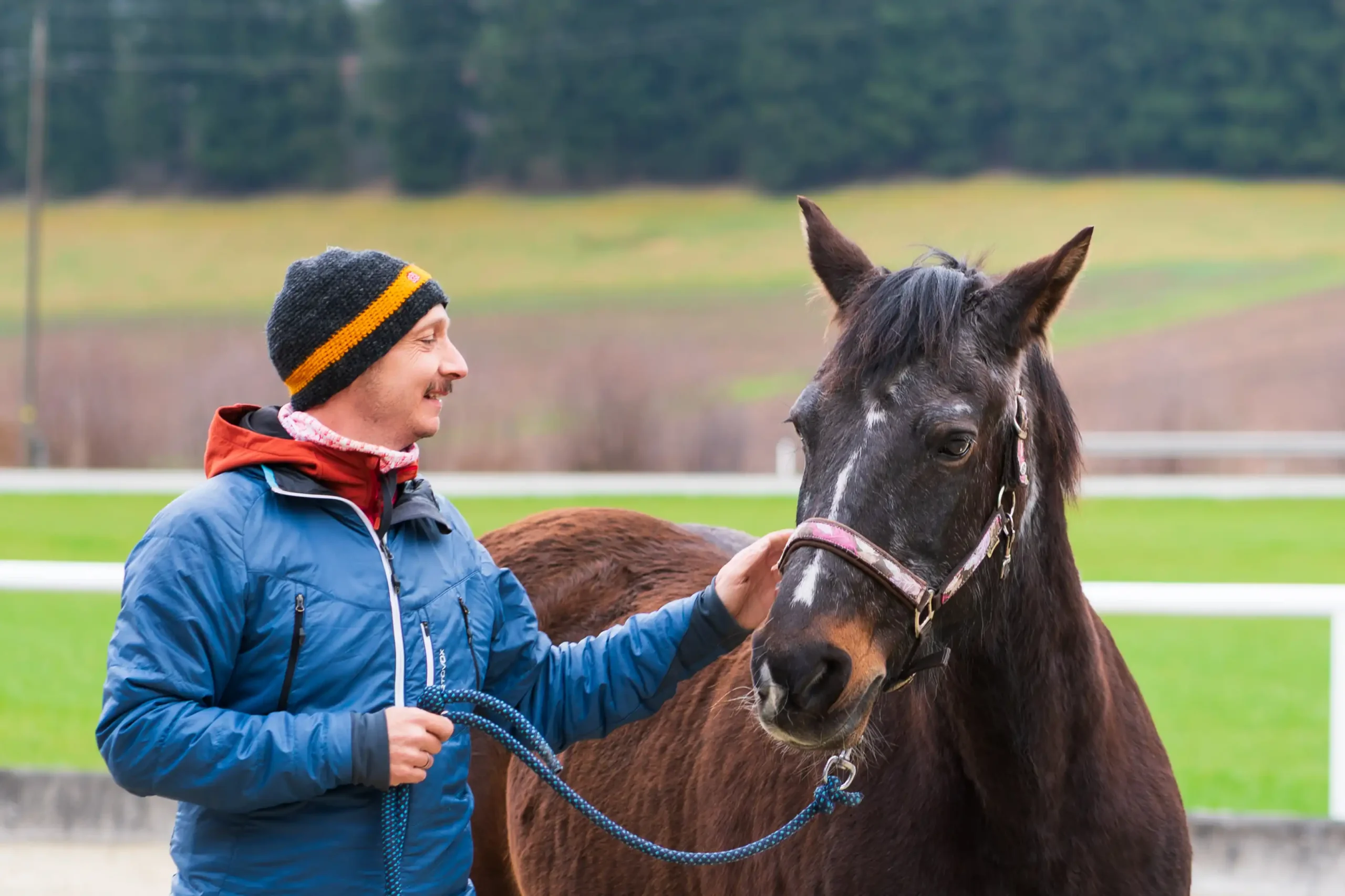 Pferdegestütztes Coaching