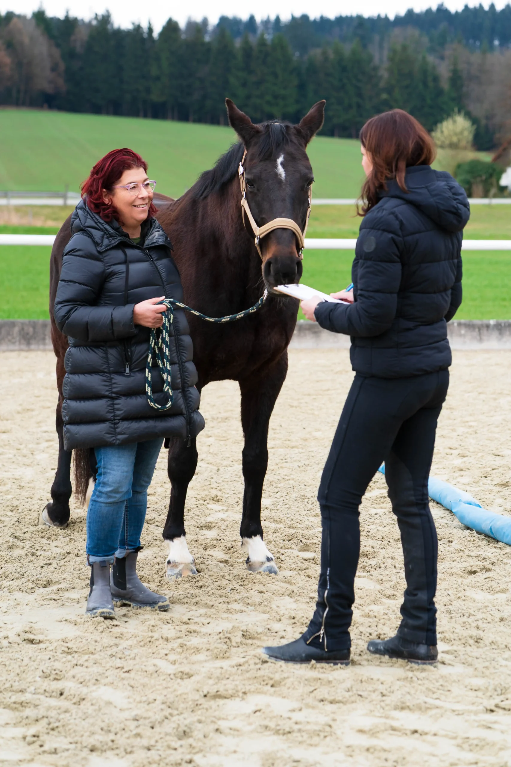 Pferdegestütztes Coaching mit Silvia Scharinger-Schuster