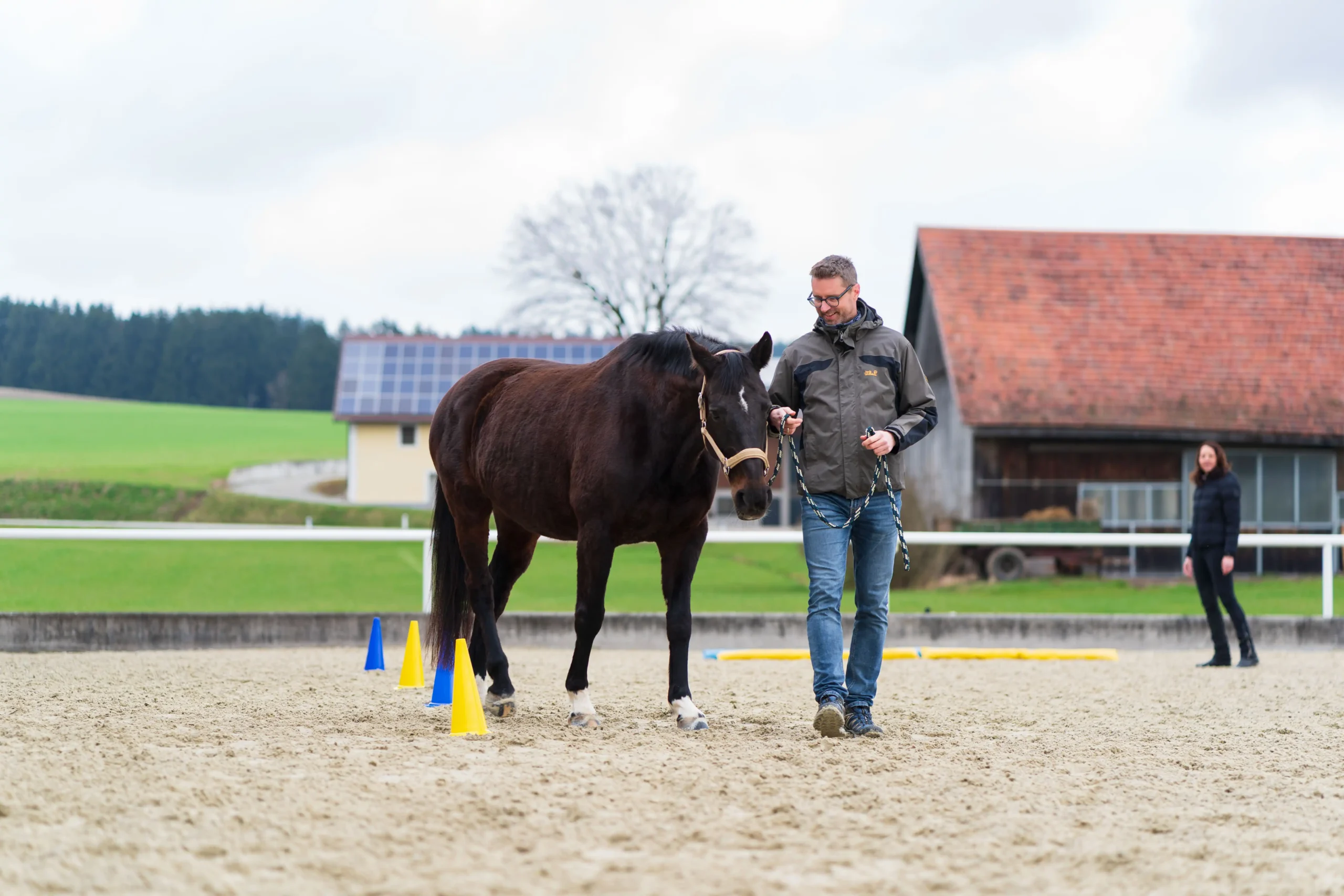 Pferdegestütztes Coaching mit Silvia Scharinger-Schuster
