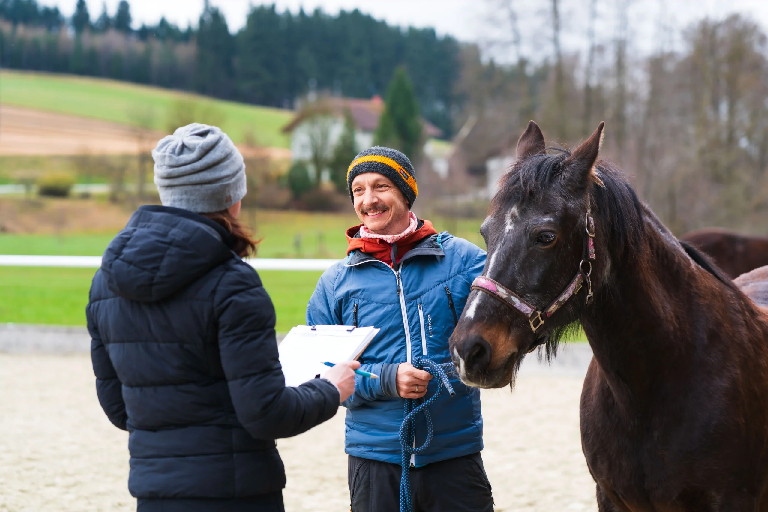 Pferdegestütztes Coaching für Einzelpersonen