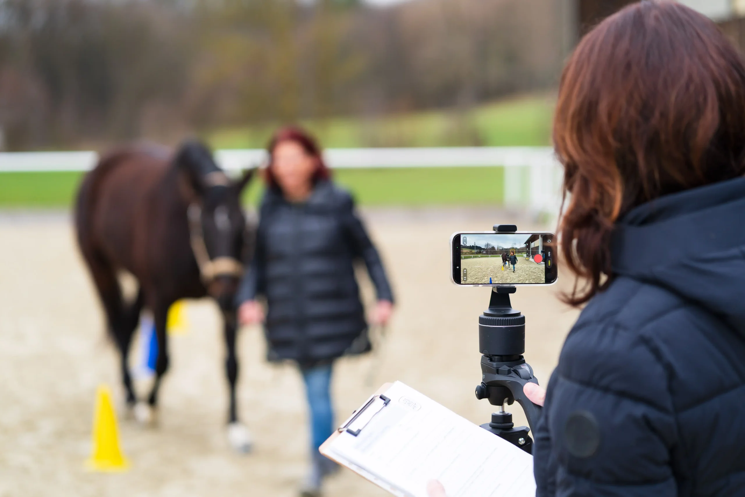 Pferdegestütztes Coaching