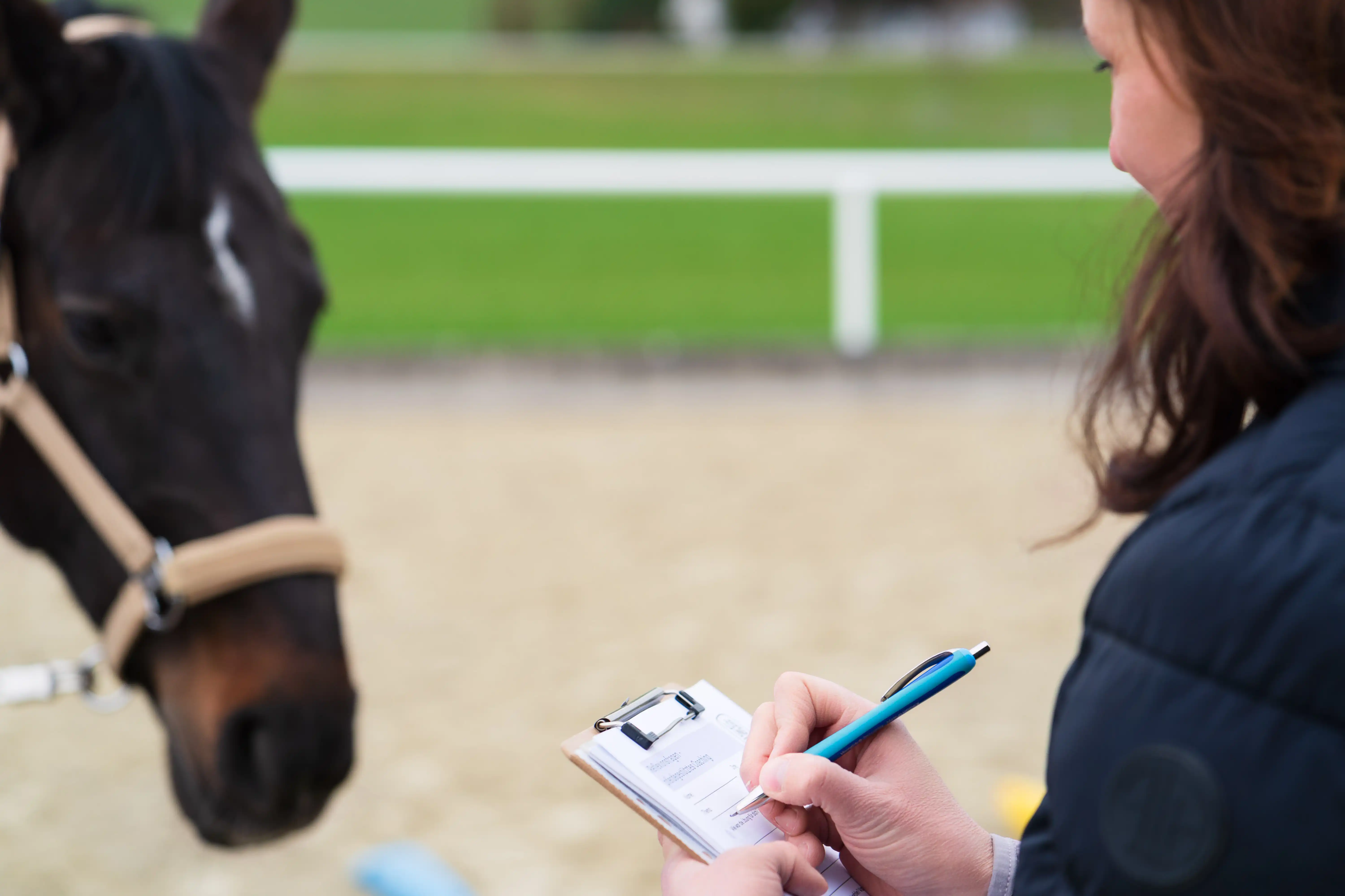 Pferdegestütztes Coaching mit Silvia Scharinger-Schuster