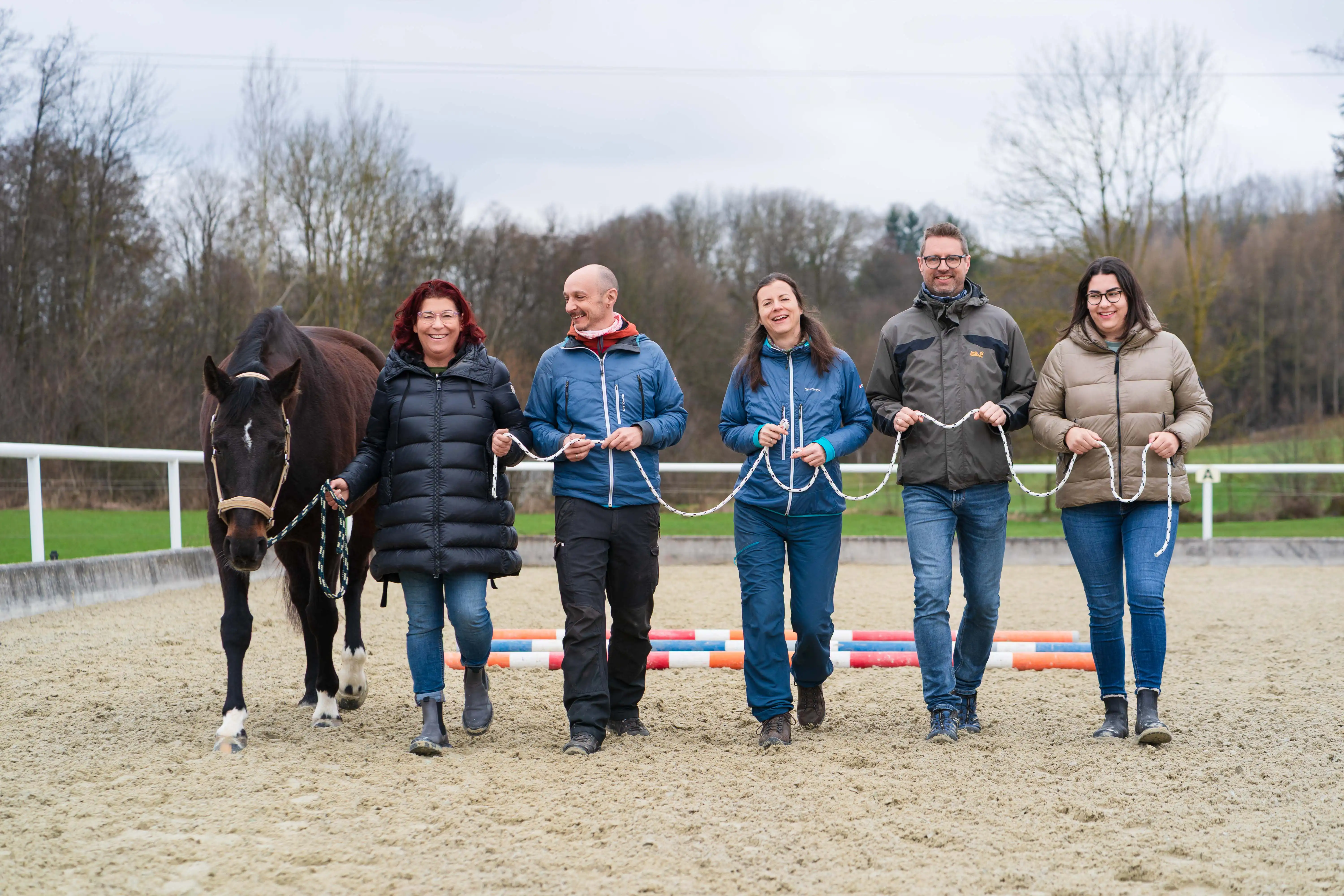 Pferdegestütztes Coaching im Team