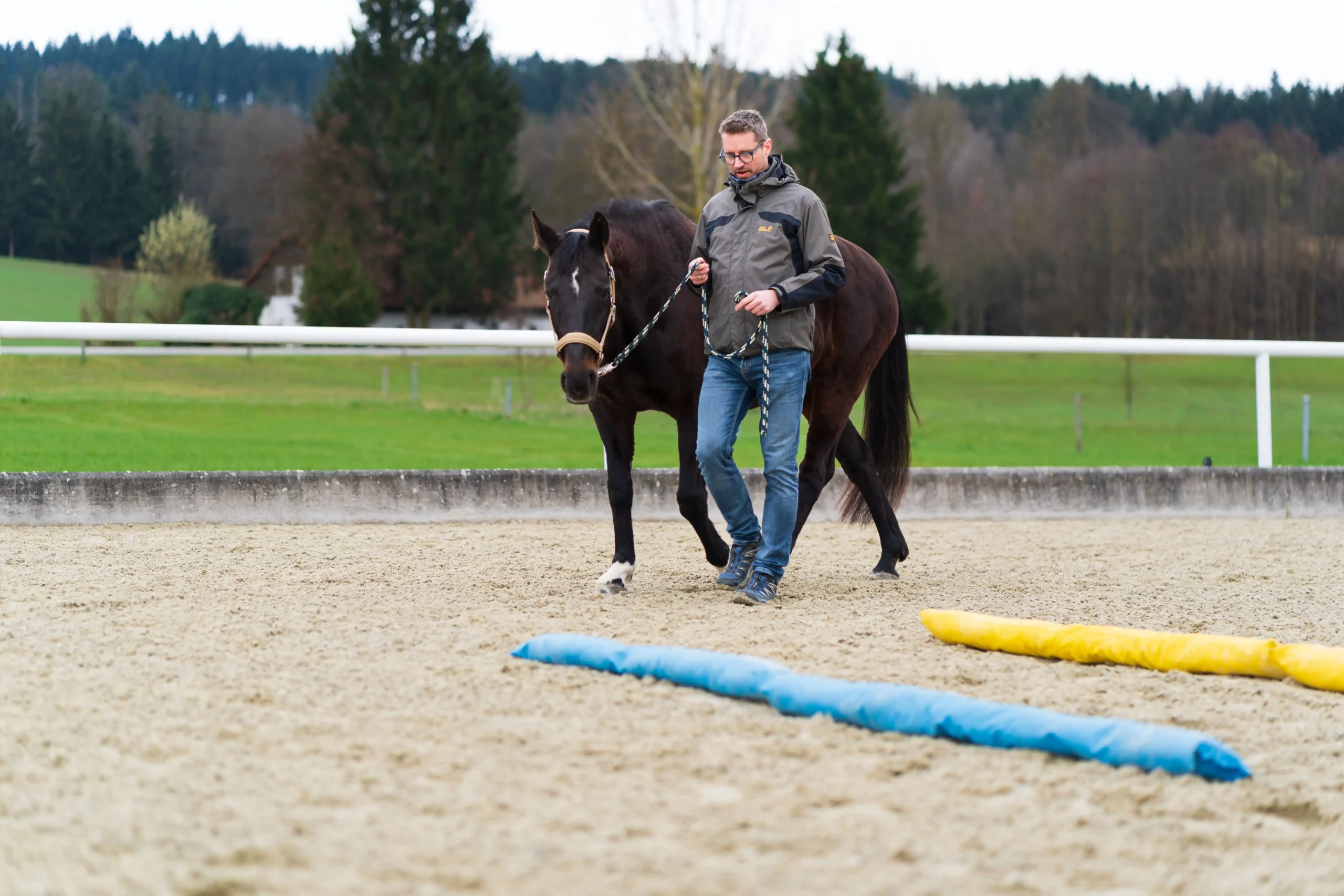 Pferdegestütztes Coaching mit Silvia Scharinger-Schuster