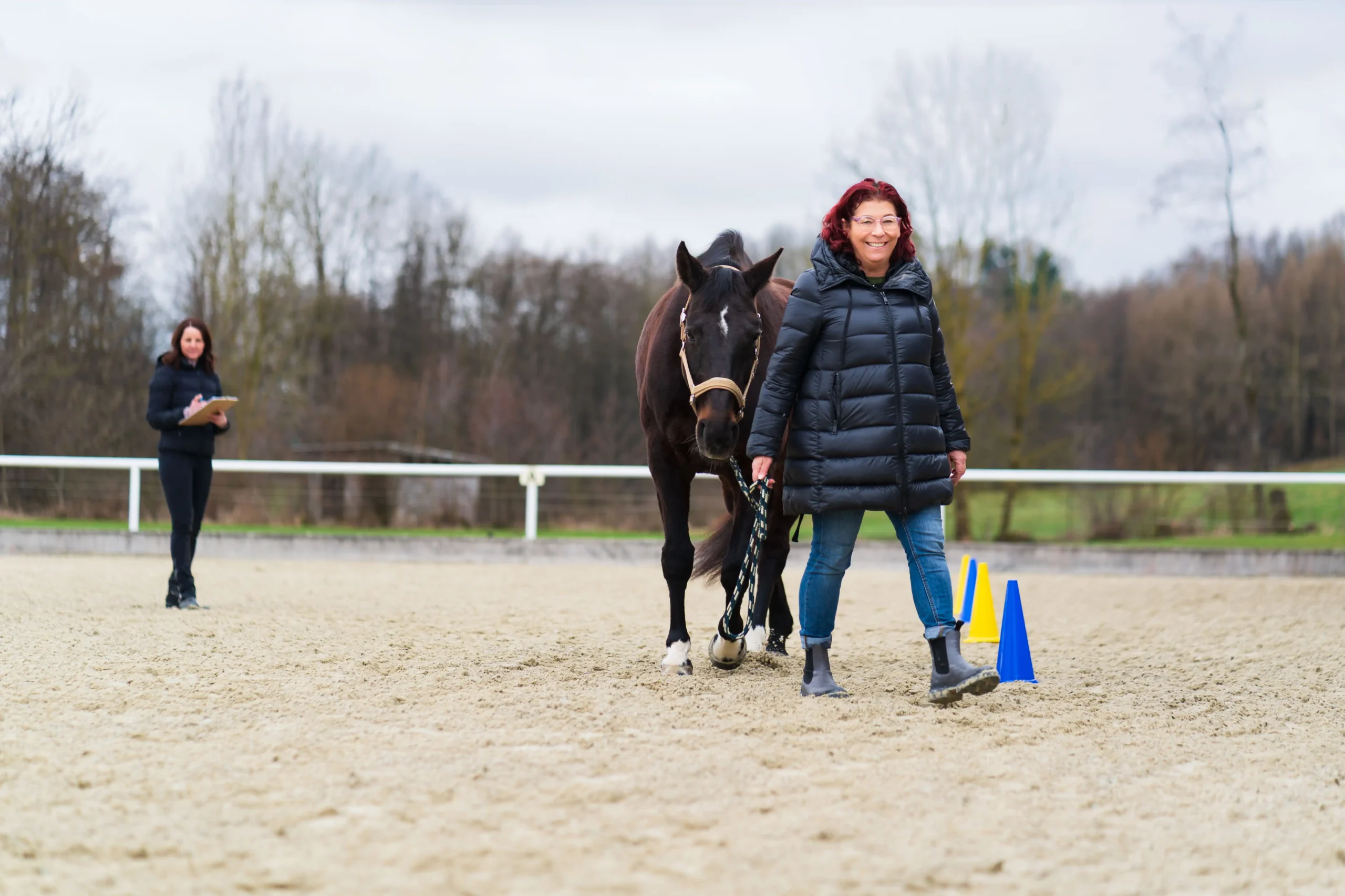 Pferdegestütztes Coaching mit Silvia Scharinger-Schuster
